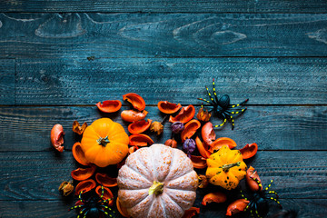 Halloween pumpkins, on wooden background