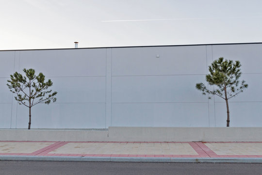 Dos pinos jovenes en composicion simetrica y minimalista con fondo de pared de nave comercial o industrial. Chimenea en lo alto y avi&oacute;n pasando por el cielo