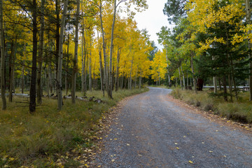 Open Road