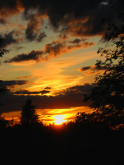 Beautiful sunset in the summer in the village