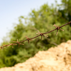 barbed wire fence in the nature