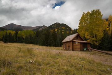 The Inner Basin Trail in Flagstaff Arizona.