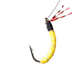 fly for fishing on a white background