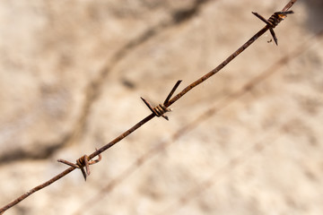 barbed wire fence in the nature