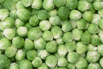  brussels sprouts