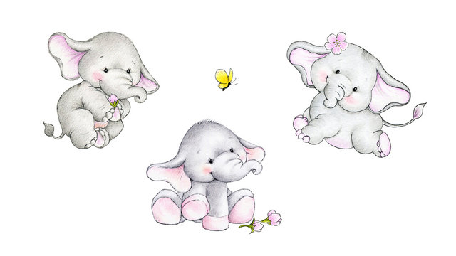 Three cute baby elephants
