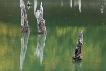 Obraz premium Churet Lake, Mazandaran, Iran