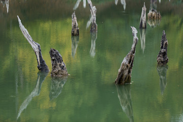 Obraz premium Churet Lake, Mazandaran, Iran