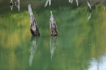 Obraz premium Churet Lake, Mazandaran, Iran