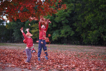 kids playing with fallen leaves. joyful boys frolic in the fallen maple leaves in the forest. the...
