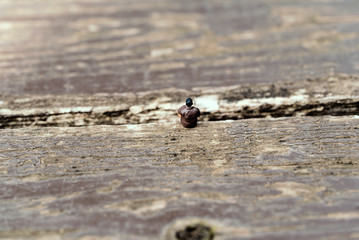 座るビジネスマン