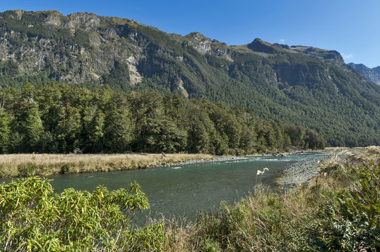 Mackay Creek, Fiordland National Park, northern Fiordland, overlooking the Eglinton Valley, on Milford Road, South island of New Zealand