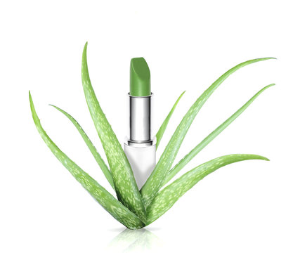 Aloe leaf skin care , lipstick with aloe vera
