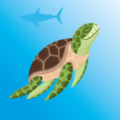 Sea turtle and shark.