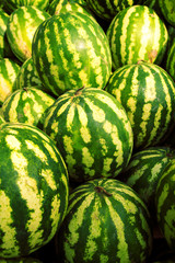 Fresh ripe juicy wet watermelons on green grass. Eco food