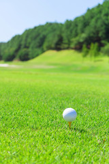 ゴルフ　ティーショット