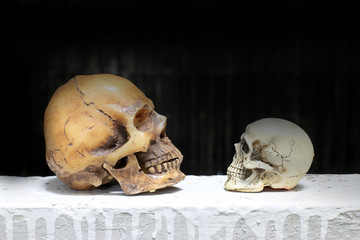 Still life photography with human skulls with black background
