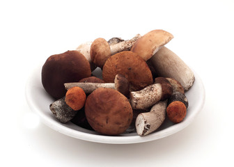 forest edible mushrooms in a plate on a white background