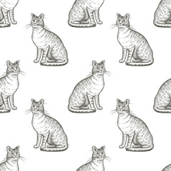 Cats. Seamless vector pattern. Black and white illustration.