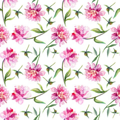 Watercolor pink peony, garden flower isolated on white, seamless pattern, decorative background, botanical hand drawn painting texture for design package cosmetic, greeting card, wedding invitation