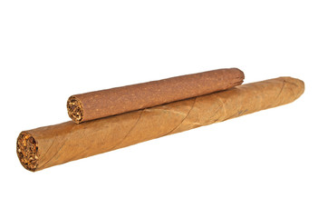 Brown cigars on a white background