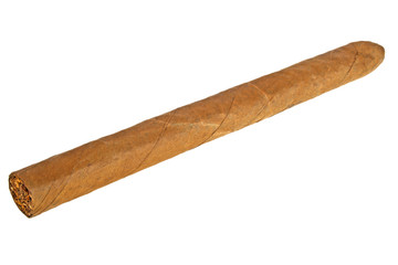 Brown cigar on a white background