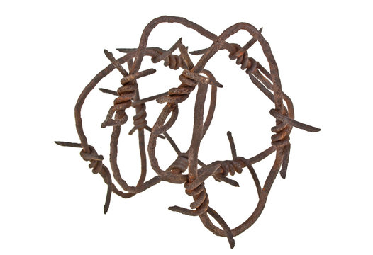 Rusty barbed wire on white background