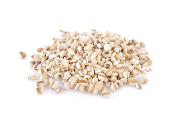 pile of uncooked Job's tear on white background