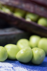 Open marrowfat pea in blue