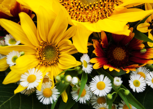 bouquet of sunflowers and daisies