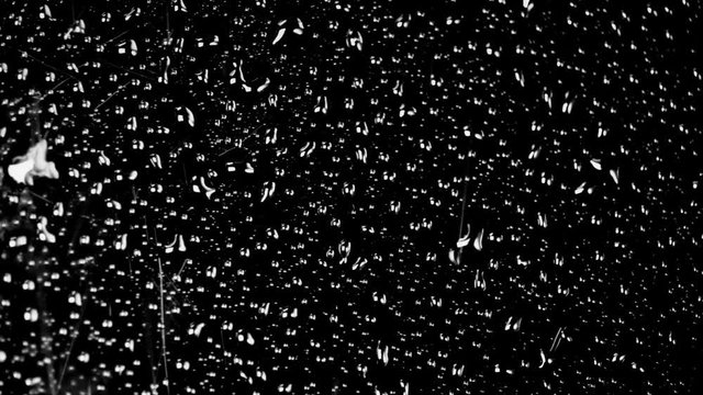 A close up shot of water being sprayed on a shiny black background. HD 1080.