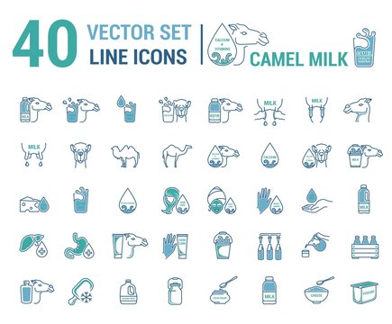 Set vector icon graphic thin outline in a linear design. Element emblem symbols. camel's milk. Organic product. Milk cosmetics for hand care, hair care, treatment liver and body