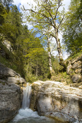 Fototapeta na wymiar Kaskade,Wasserfall in der Steiermark,Österreich