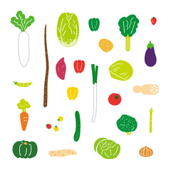 野菜 スクエアタイプ