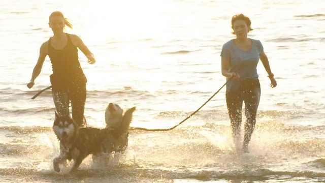 young fitness couple running on beach with siberian husky dog during sunrise or sunset
