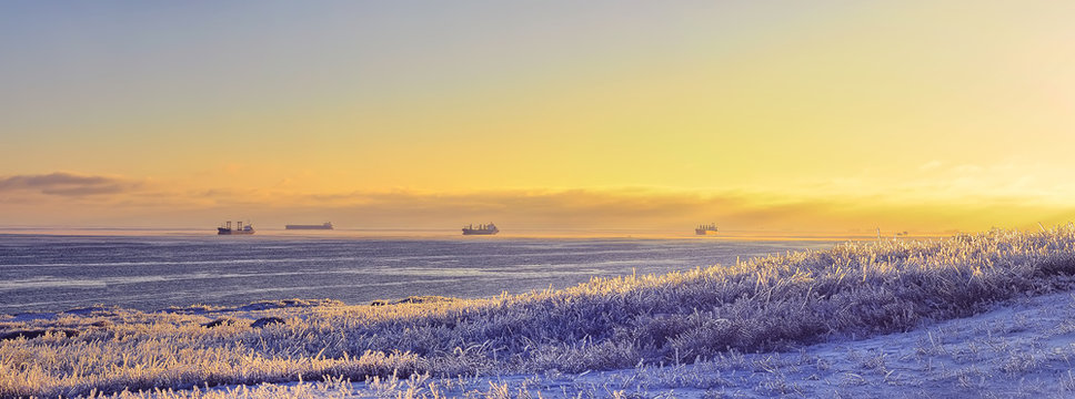 Beach with grass covered completely with ice, sparkling in the sunlight. In the background, the ships in the sea standing on the roads and  sunset light. Panorama. Winter beautiful view.
