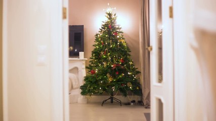 stop motion. Christmas tree is gradually emerging balls, garlands, lights illumination. no people.