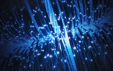 Kabel, Daten, Signale im Netzwek