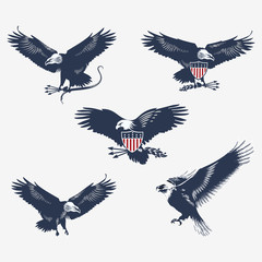 Naklejka premium Орёл, национальная птица Соединенных Штатов Америки, щит, стрелы, змея
