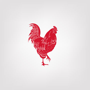 Vector image of an cock on white background. Silhouette of red cock