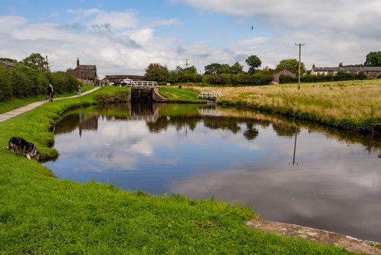 Leeds and liverpool canal on a beautiful summers day. Chorley, Lancashire, UK