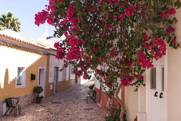 Old street with flowers in Ferragudo Algarve, Portugal