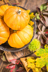 Autumn pumpkins