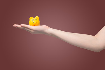  hand holding yellow piggy bank on isolated gradient red background, Saving money for investment concept.