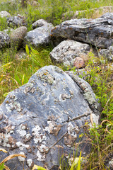 large stones in the mountains in nature