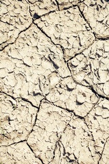 Dry soil with cracked surface