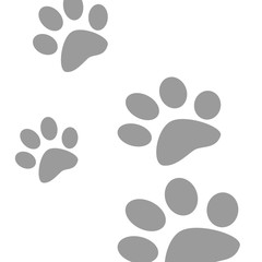 Fototapeta premium Animal footprints