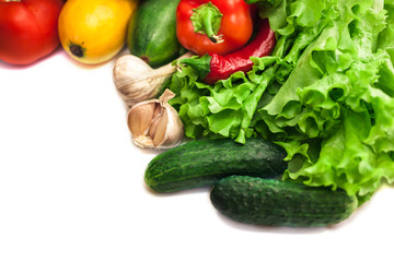 Fresh organic vegetables. Autumn vegetables. Harvesting. Ingredients for the salad. Lettuce, tomatoes, cucumbers, zucchini, eggplant, peppers, chillies. Advertising Space.