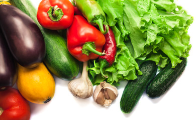 Fresh organic vegetables. Autumn vegetables. Harvesting. Ingredients for the salad. Lettuce, tomatoes, cucumbers, zucchini, eggplant, peppers, chillies. Advertising Space.