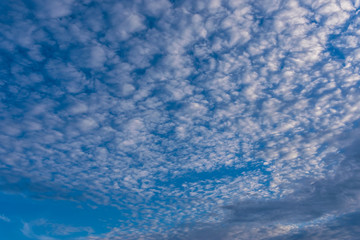 Fototapeta na wymiar Dramatic sky with small white clouds.